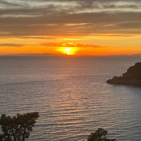 Rosa Con Splendida Vista Mare * Bonassola