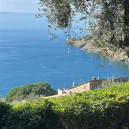 公寓 Rosa Con Splendida Vista Mare
